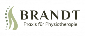 BR 300x127